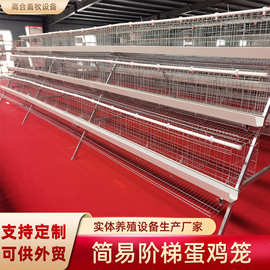 蛋鸡笼三层五门阶梯式蛋鸡笼白食槽养殖机械设备鸡舍镀锌蛋鸡笼子