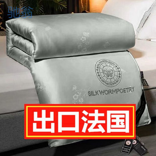 Bnj [Export to France] Silk Quilt 100 Mulberry Silk Spring and Autumn Quilt Core Thickened Winter Quilt Summer Cool Air-conditioning Quilt