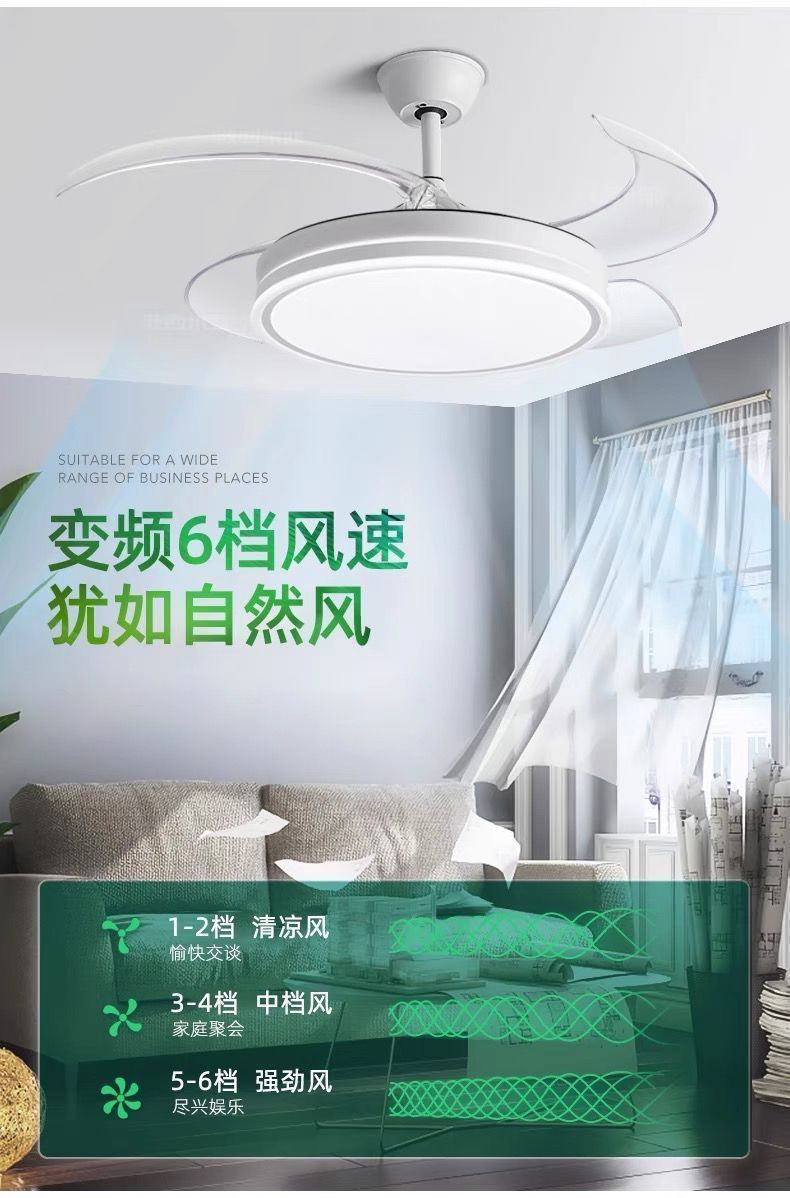 d517bef8-f8f4-4961-bb19-a5f15ae05117.jpe