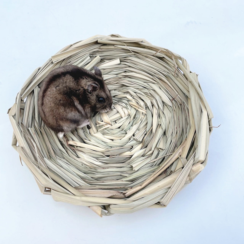 草盘子 (9)_副本.jpg