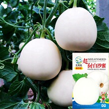 ��ɳ����ϷN������Ϲ����r�Ҳˈ@�̨��������ּtȿ�����G��ʯ