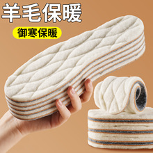 冬季压缩羊毛保暖鞋垫舒适软木软底加绒加厚吸汗透气抗菌防臭批发