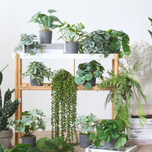 ���Wins����Gֲ���� ����ֲ��b[���Ҿӿ͏d���P����С�辰