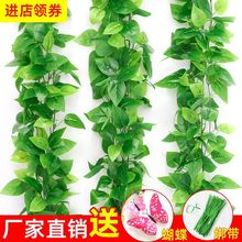 �ٻ��b��{ˮ�ܵ��ٗl�ړ����~�G�}��������bGֲ�w��