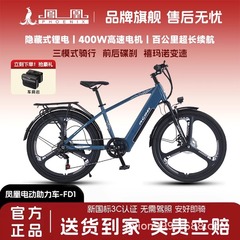 Yadi の新しい国家標準電動自転車大人用オフロードリチウム電気自動車フェニックス電気自動車リチウム電池電気自動車