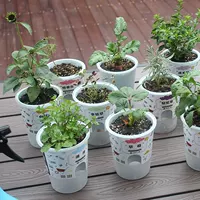 [跨境爆款罐小吸迷你植物盆栽幼儿园儿童DIY种植草头植物发芽盆栽]