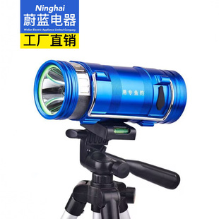 Подлинный F4 Blu -Ray белый свет рыбалка ночной рыбалка с двойным светом 10 Вт.