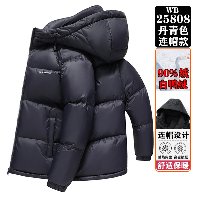 WB25808 블루 컬러