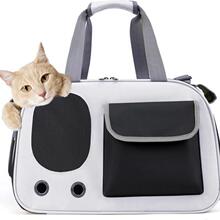 E 40006 Cats Best Selling Perfect for Daily