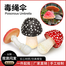 野生蘑菇模型毒蘑菇蔬菜早教小松茸场景摆件儿童玩具认知仿真模型