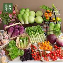 ���A�߲�С�����}Ů�������J�S���{��ײ��Ĕz���ߘӰ巿�[�O