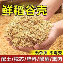籾殻、生籾殻、卸売鶏飼料、ペット用パッド、ルチン鶏純粋乾燥枕芯充填、醸造飼料