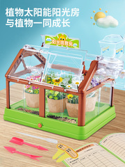 迷你植物觀察DIY陽光農場種植房兒童益智steam科學小實驗玩具套裝