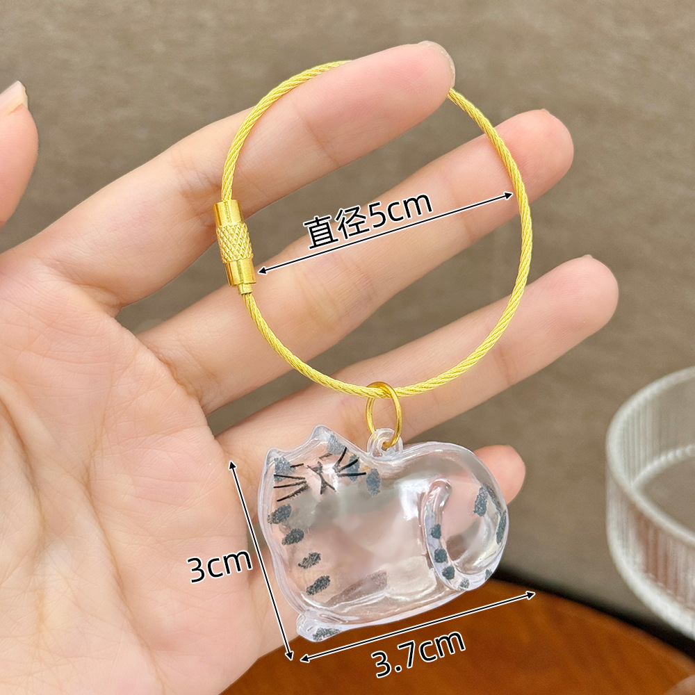 Cartoon Pet Storage Keychain Lovely Transparent Pet Memoria Keychain Pet Listing Keychain
