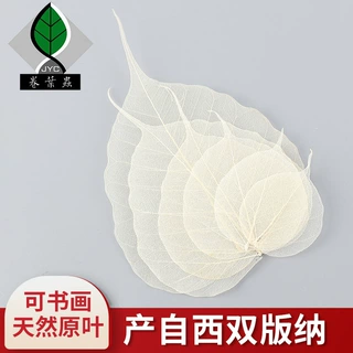 文艺书签制作材料中国风树叶子叶脉压花原料干花押花创意古风礼物