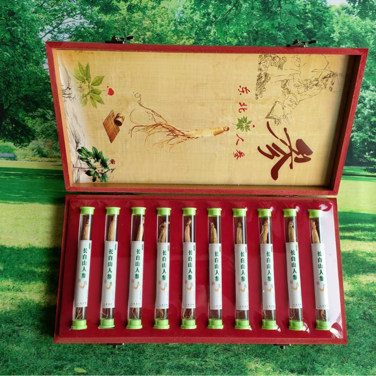 人参长白山人参东北特产非野山参干人参正品高端礼品送礼泡酒长辈