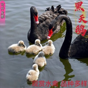 �����F؛�˹��Bֳ�����Z ���N�����Z���w ��������Z Ó�غ����Z