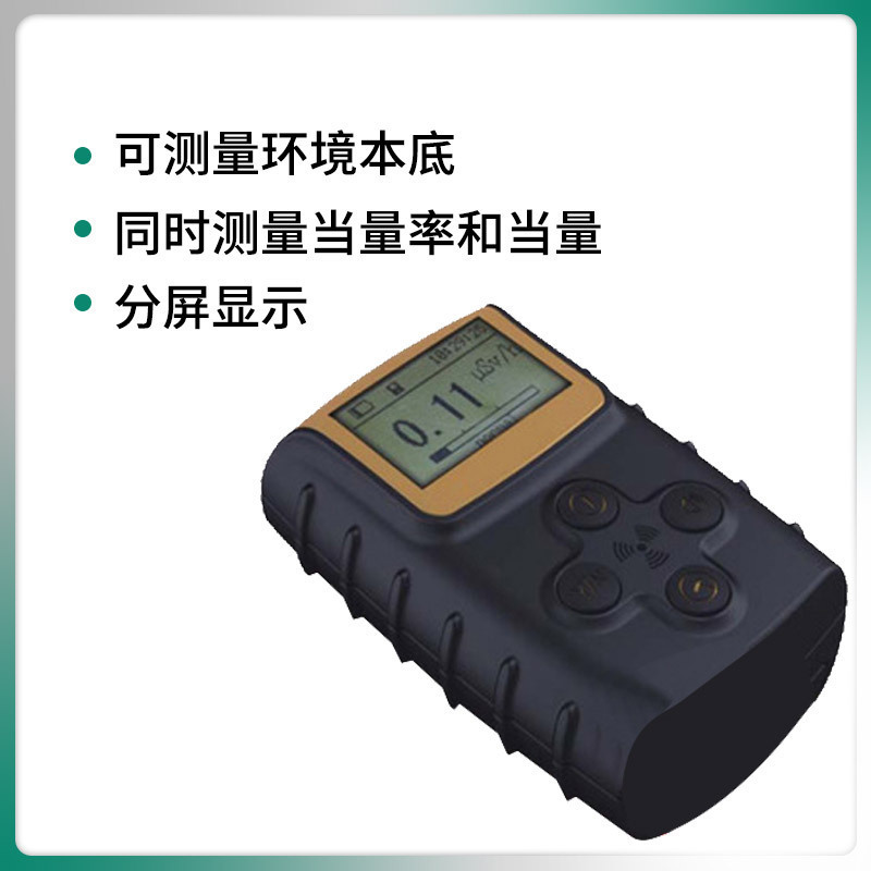 BG2020 型 环境辐射测量仪探测γ（X）射线