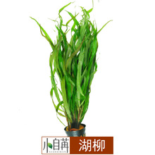 ˮݻwl~쾰bˮ^p󾰲oˮ