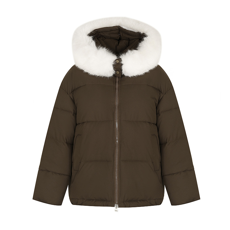 2024 invierno nuevo estilo coreano chaqueta de algodón corta con capuz suelta y gruesa chaqueta de pan chaqueta de algodón chaqueta de mujer image 5