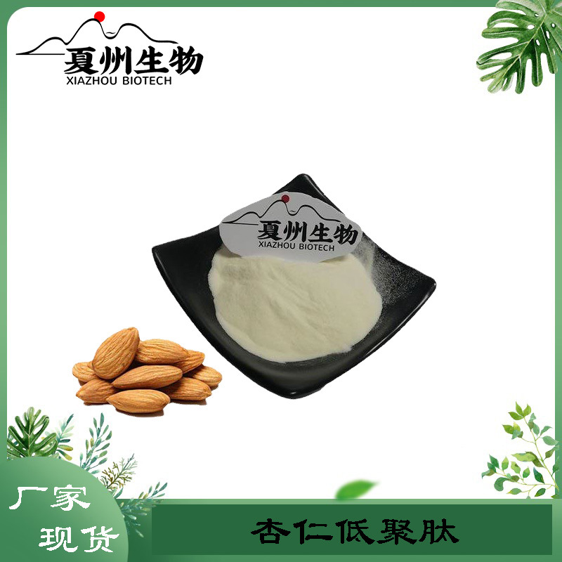 杏仁肽 杏仁提取物 小分子低聚蛋白肽  杏仁低聚肽  优质供应