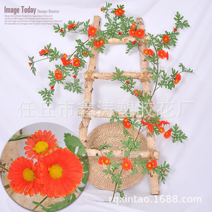 �������տ����ټٻ��ٗl�r�տ��{�ܵ��p�@�����҃ȱ������b��ړ�