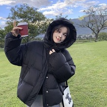 qŮӺqBñ׶̿Сn2025¿