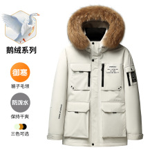 �����Z�q+����ë�I���O���Ӻ���ʿ���L����q���ߙn��ů�ɿ˷���