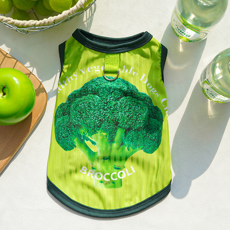 Transfronterizos primavera y verano nuevo gato ropa de oso perro dorado gato ropa de mascota ropa de perro ropa de perro chaleco