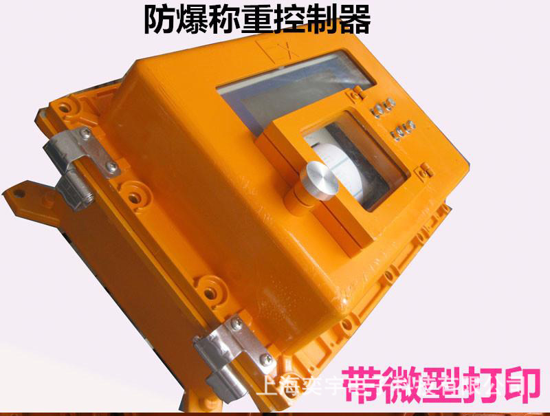防爆电子秤