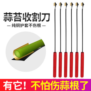 Garlic Shoot Harvesting Knife, Garlic Shoot Pulling Tool, Garlic Shoot Knife, Extended Stainless Steel Garlic Shoot Pulling Tool, Garlic Shoot Peeling Tool