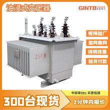 s22-100kva35kvͭ160kw۸200ǧһЧͽʽѹ