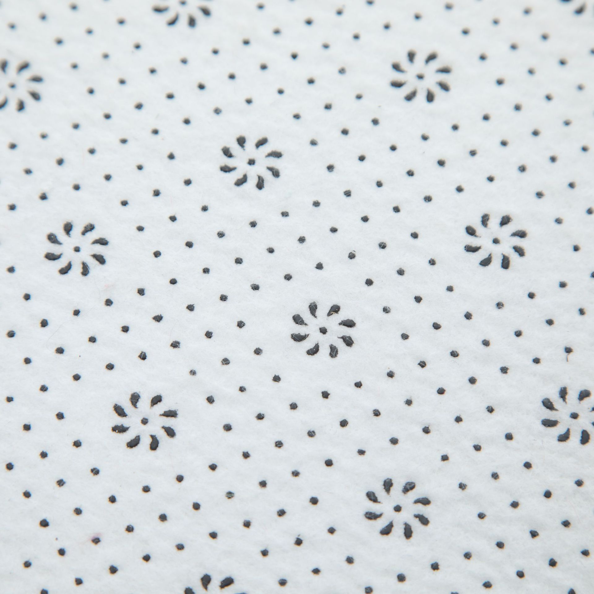 丝毛底部特写（同行用做对比图）