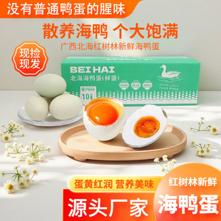���r�t���ֺ��������ڏV���t���ֺ�����M�o��ζ�F��F�l60��