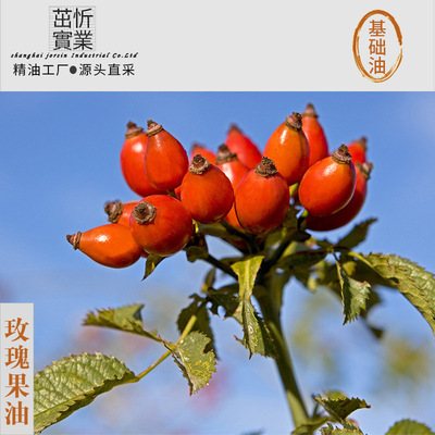 [Factory source]Rosehip Oil Base Oil wholesale Botany Skin care Deploy essential oil raw material SPA Beauty