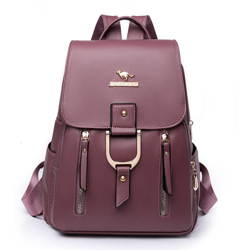 Ladies Double Shoulder Bag High-Quality Multifunctional Large Capacity Backpack 2025 Spring Stylish Fashion Casual Bag