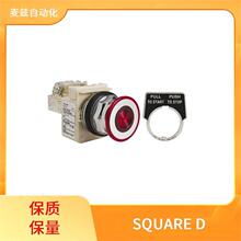 SQUARE D VM1PNO74TEQ ��ť���� ����Ԫ���� SGA8179L10