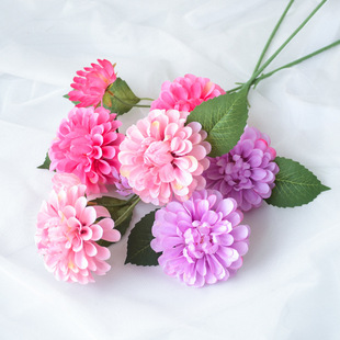 3�^������������շ��滨�����ٻ��b[�����c��Y�S�Ҿջ�