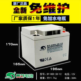 赛特BT-HSE-38-12免维护铅酸12V38Ah10HR消防UPS主机机房用蓄电池