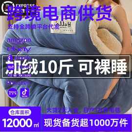 羊羔绒被子2025新款冬季棉被被芯冬天单人宿舍秋冬被加厚保暖10斤