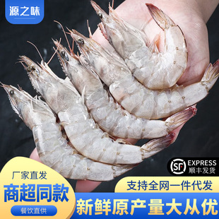 �}�����r��������r���u���r������r���r���r�����������l