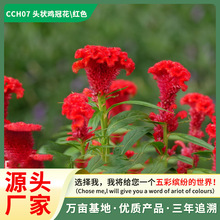 Դ�^���S���l�¿��u�ڻ��N�� �̨�����ļ��_�� �ͺ��͟���B��