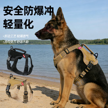 �羳���������K�p������_���g���ر����д���Ȯ�������Ó�޹��K