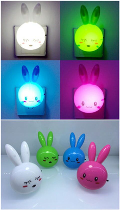 미니 토끼 스위치