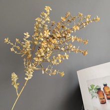 �����֦��ѿ���ȼ����ݽ��X�� ���W�͹żҾӘӰ��g��c�OӋ�b�