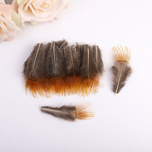 �S�ҬF؛���l�uëDIY�\�u�S�z��ë�Ʒ�����ë�b�С��ë
