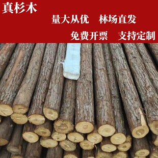 ��Ȼɼľԭľ�U��Ƥ�bG��֧��ľ�W�t��c�����쾰���ޠI�؈@��