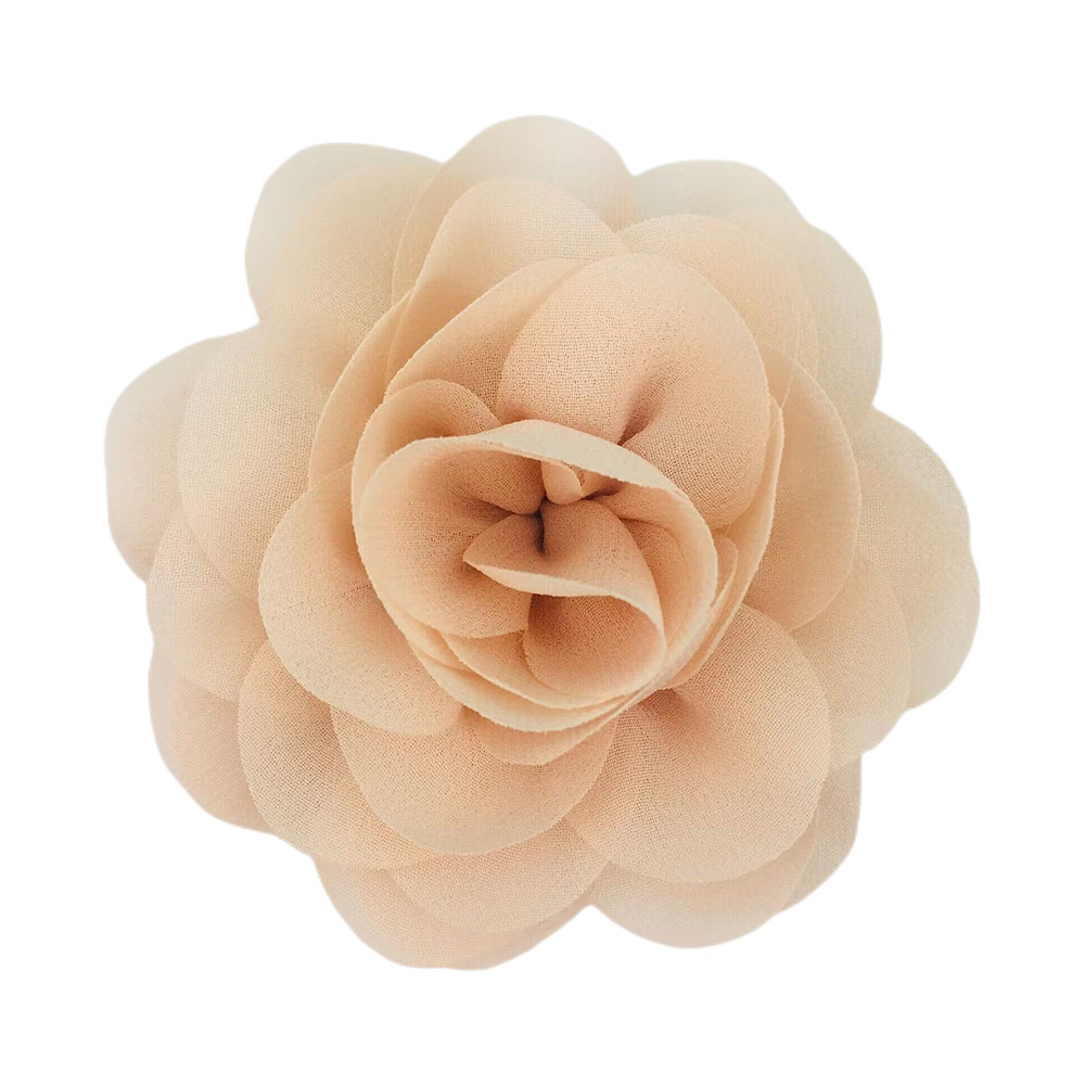 연한 눈 새싹 색상