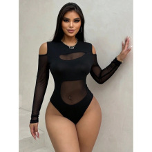 N 49181 Sheer mesh long sleeve swimsuit ͸����ɴ����Ӿ��