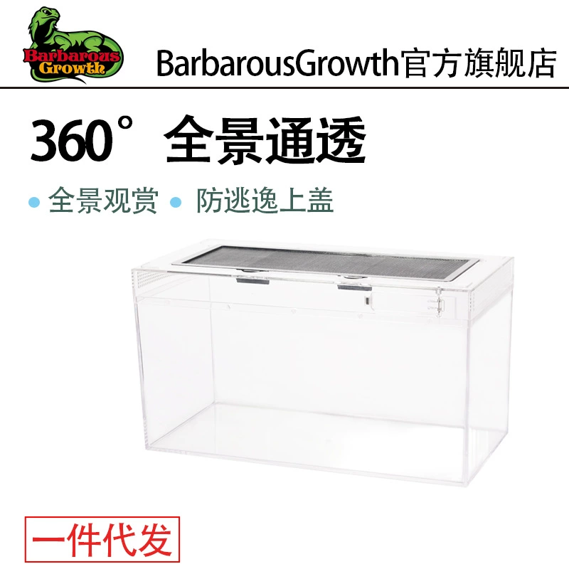 BG Экологический тропический лес Пустыня Восхождение Коробка для кормления домашних животных Рогатая лягушка Паук Скорпион Грива Лев Ящерица Дворец Шугун Змея Пейзаж Кормление Box